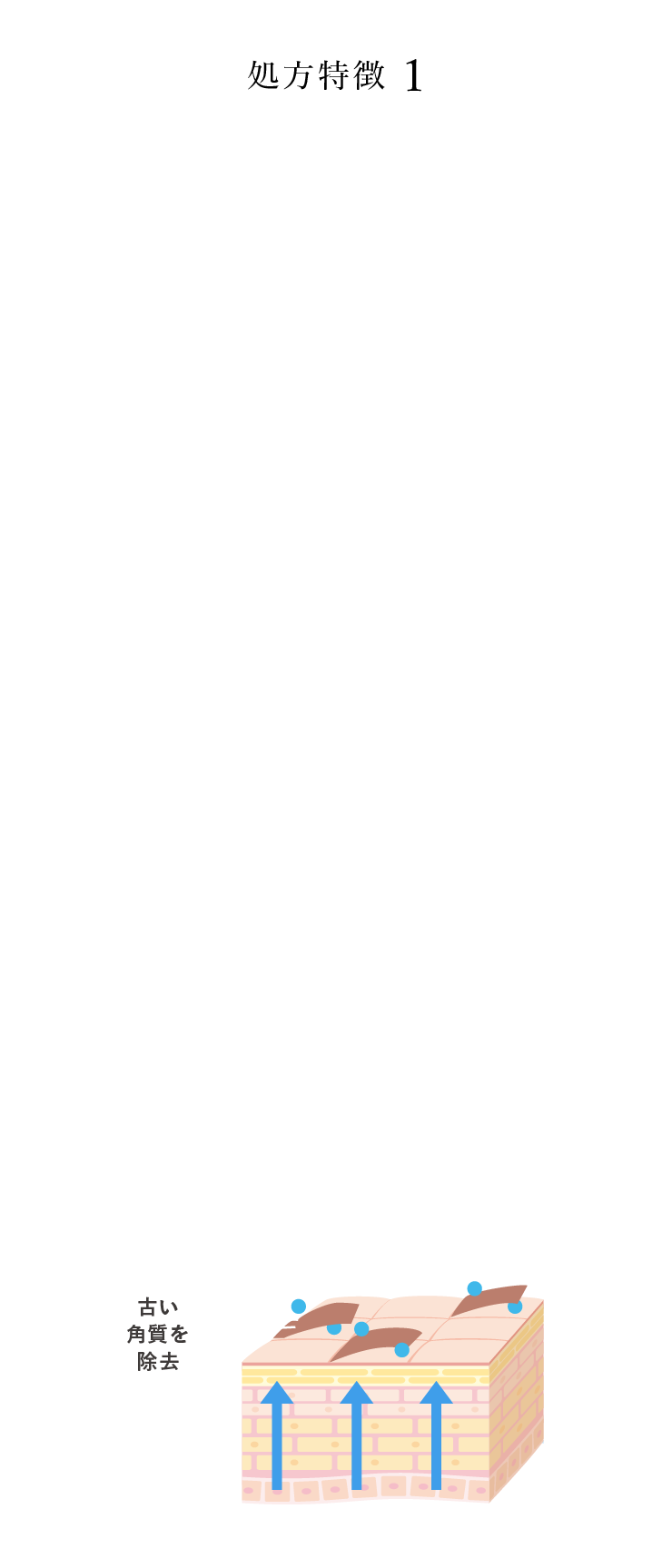 処方特徴1